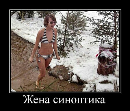 Жена синоптика