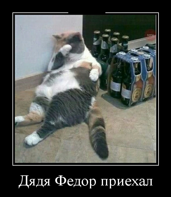 Дядя Федор приехал