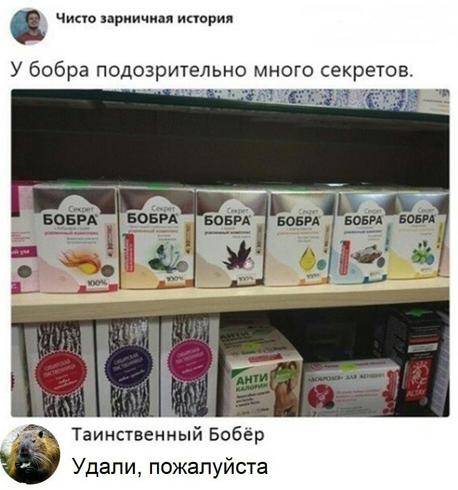 Чисто зарничная история У бобра подозрительно много секретов Таинственный Бобёр Удали пожалуйста