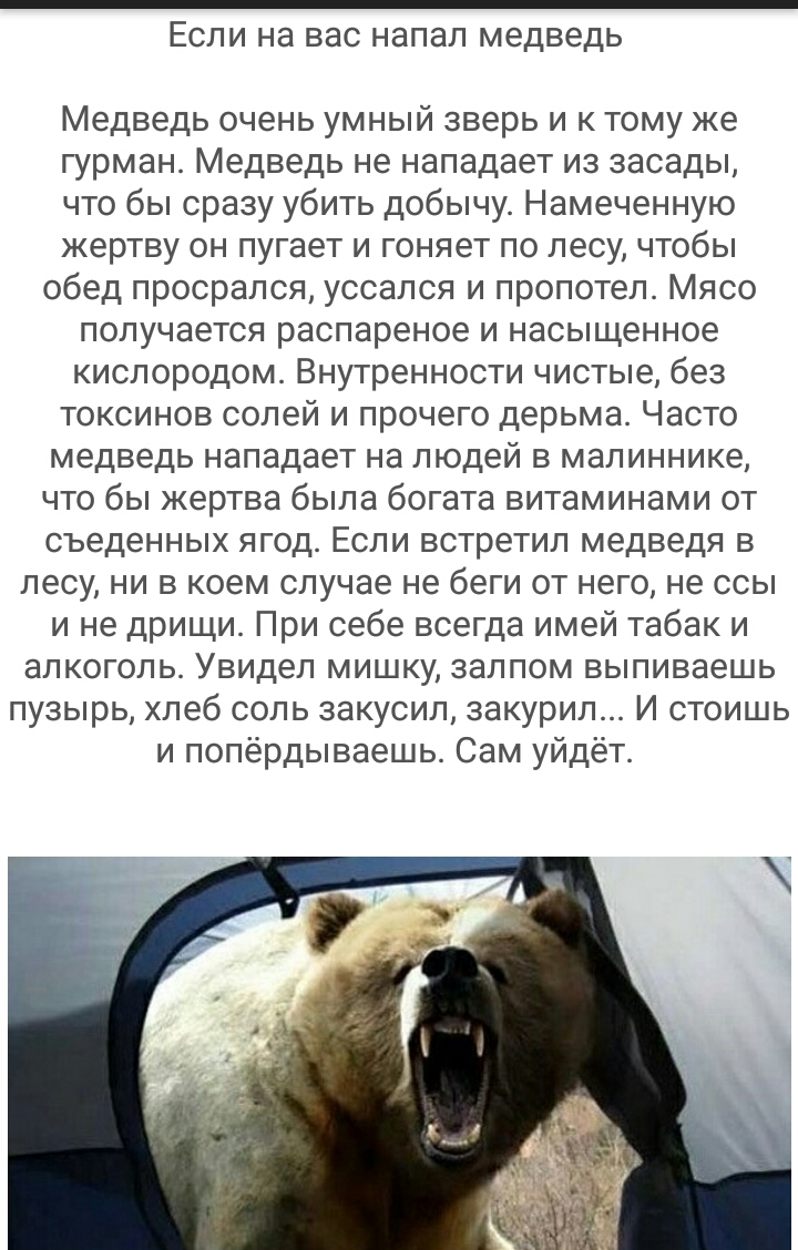 ЕСЛИ НЭ ВЭС НЭПЭЛ МЕДВЕДЬ Медведь очень умный зверь и к тому же гурман Медведь не нападает из засады что бы сразу убить добычу Намеченную жертву он пугает и гоняет по лесу чтобы обед просрался уссался и пропотел Мясо получается распареное и насыщенное кислородом Внутренности чистые без токсинов солей и прочего дерьма Часто медведь нападает на людей в малиннике что бы жертва была богата витаминами 