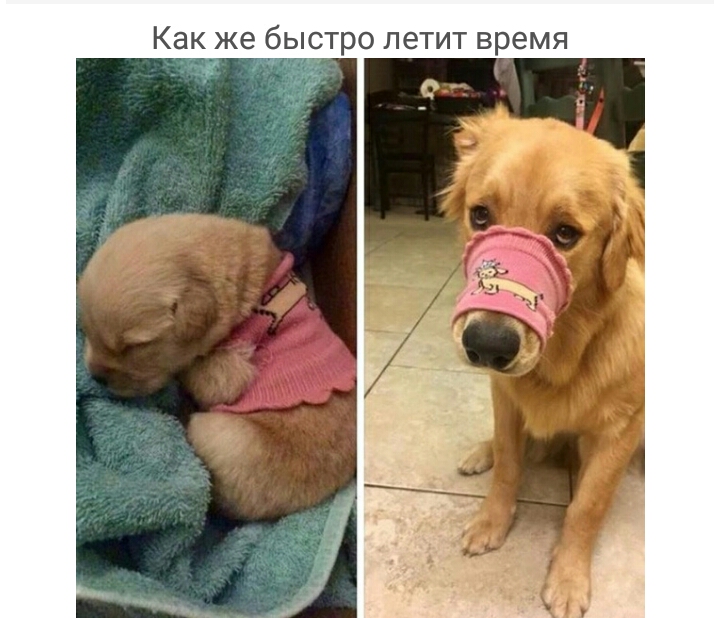 Как же быстро летит время у