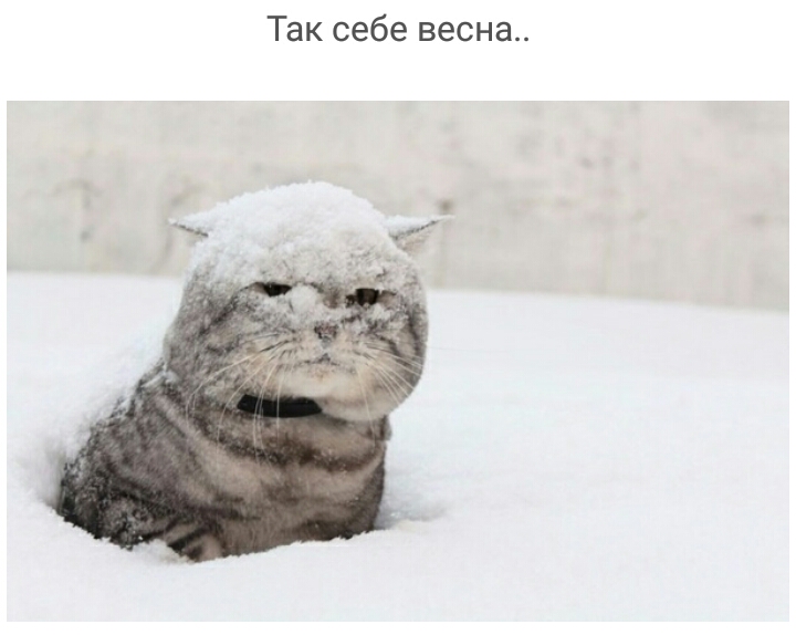 Так себе весна