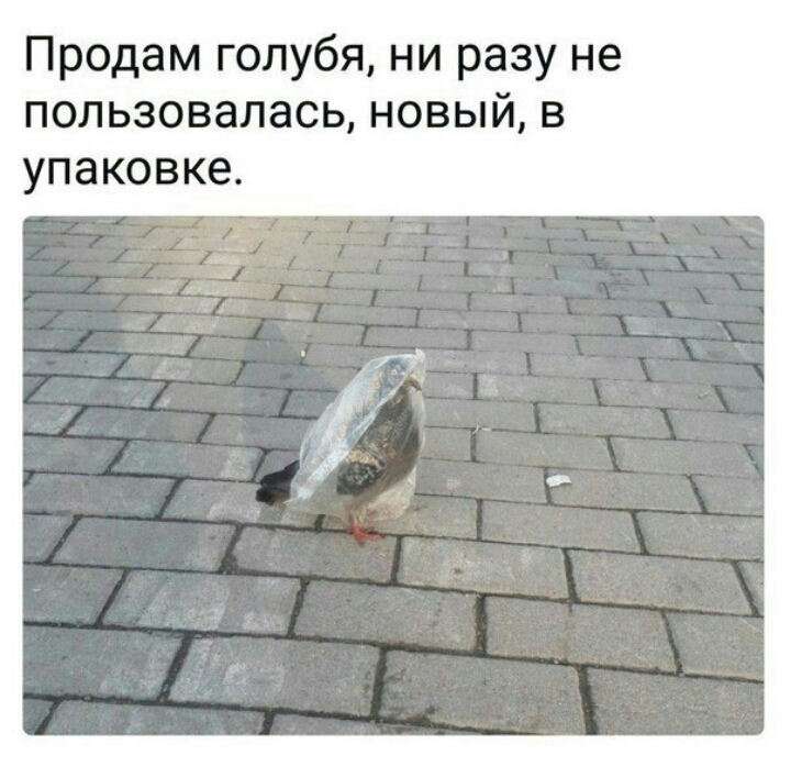 Прадамголубяниразуне пользовалась новый в упаковке