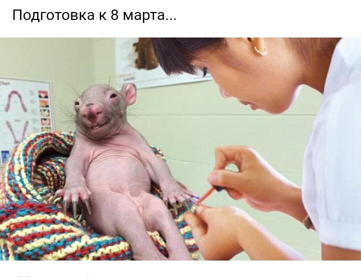 Подготовка к 8 марта
