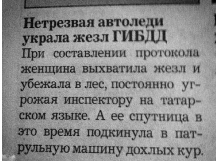 ііхраиа жезл ГИБДД При составлении проникали женщина выхватила жезл и убежала в лес постоянны уг рожая инспектору на татар сюи языке А ее спутница в 53 время педкинула в пат машину дохлых кур