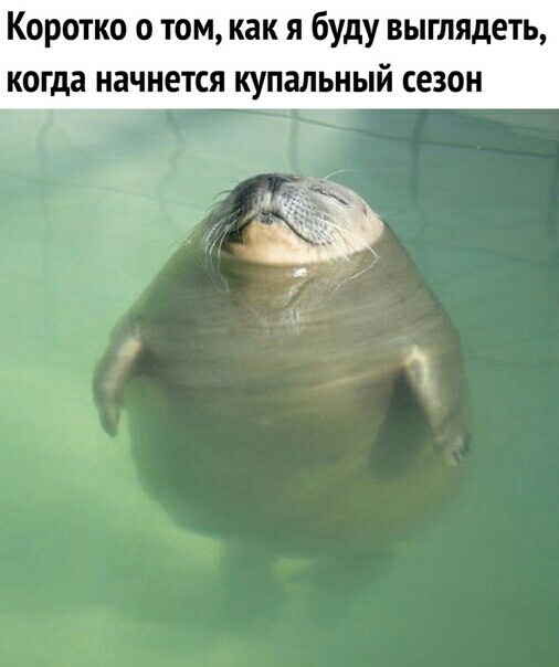 Коротко о том как я буду выглядеть когда начнется купальный сезон