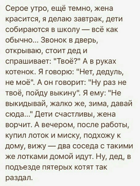 Серое утро ещё темно кена красится я делаю завтрак дети собираются в школу всё как обычно Звонок в дверь открываю стоит дед и спрашивает Твоё А в руках котенок Я говорю Нет дедупь не моё А он говорит Ну раз не твоё пойду выкину Я ему Не выкидывай жалко же зима давай сюда Дети счастливы жена ворчит А вечером после работы купил поток и миску подхожу к дому вижу два соседа с такими же лотками домой и