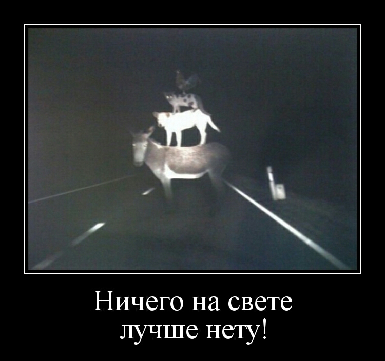 Ничего на свете лучше нету