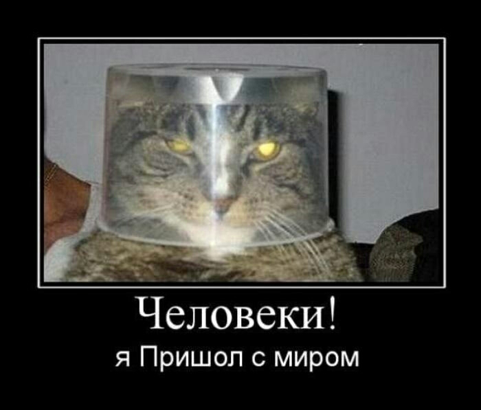 Человеки я Пришол с миром