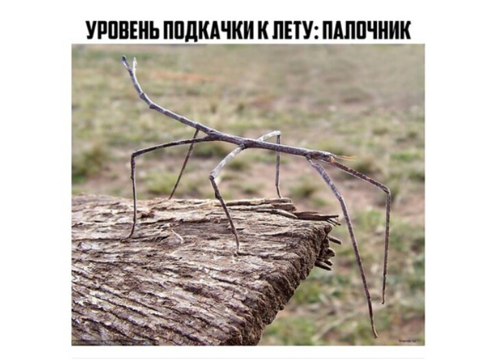 УРППЕШ ППЛКАЧКИ К ППУ МППШИК