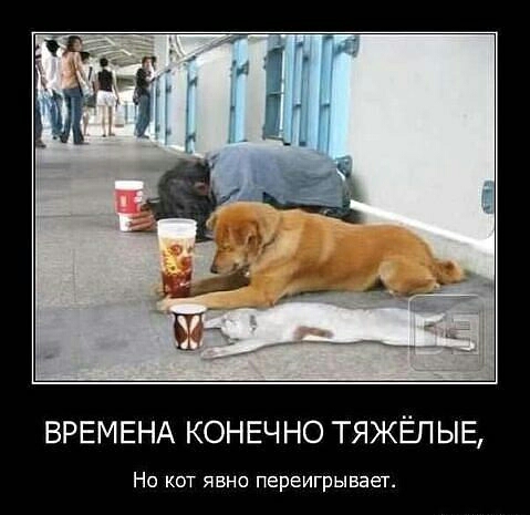 ВРЕМЕНА КОНЕЧ НО ТЯЖЁЛ ЫЕ Но кот явно переигрывает