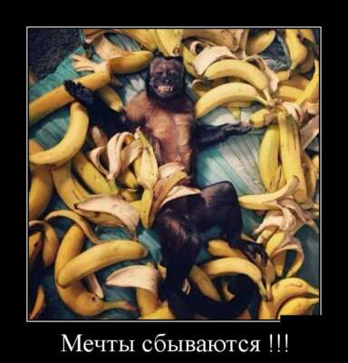 Мечты сбываются