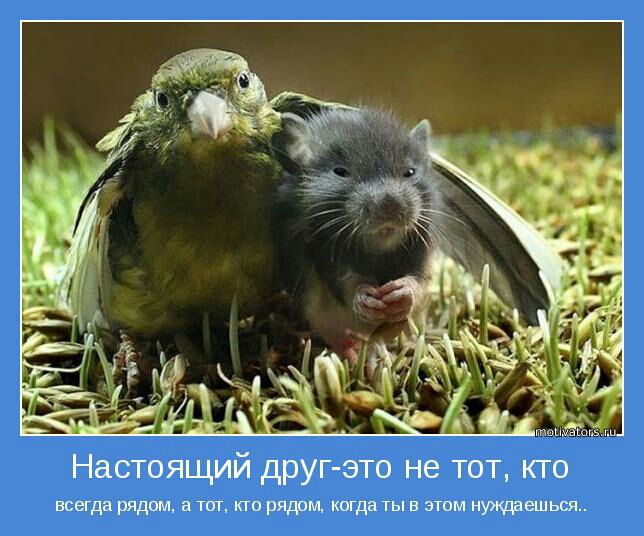 Настоящий друг это не тот кто всегда рядом а тот кто рядом когда ты в этом нрщаешься