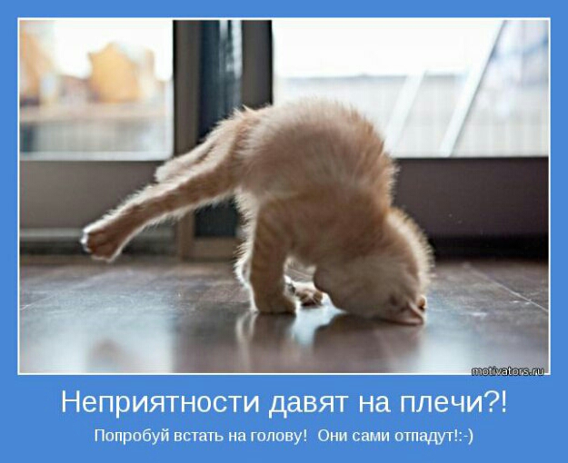 Неприятности давят на плечи Попробуй встать на шниву Они сами отпзщггіъ