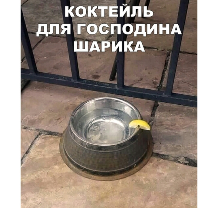 коктвйль дЛЯ ГОСПОДИНА ШАРИКА