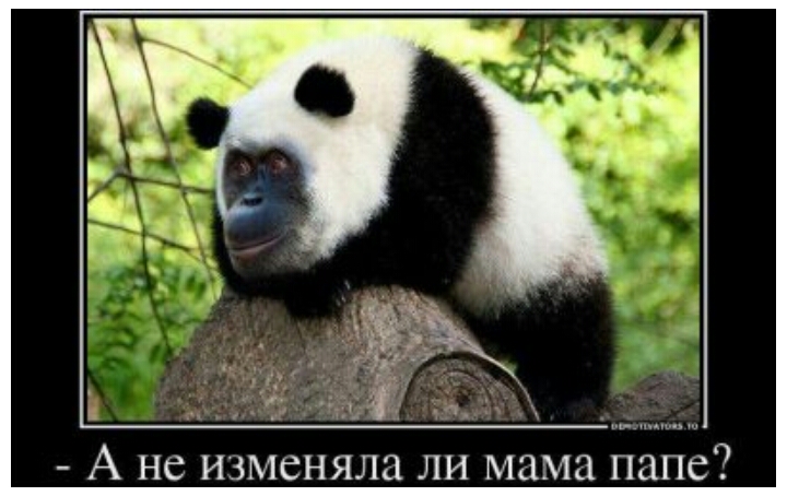 А не изменяла ли мама папе