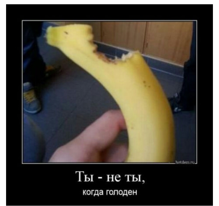 Ты не ты когда голоден