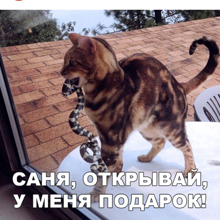 н САНЯ К У МЕНЯП
