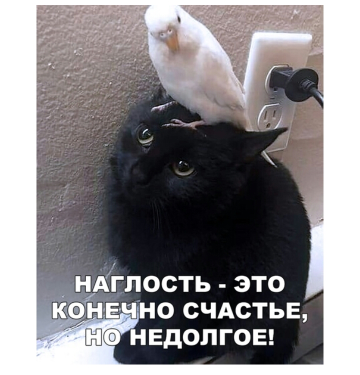 нАіілость это ТКНЕЧНО СЧАСТЬЕ ЮФ недолгое
