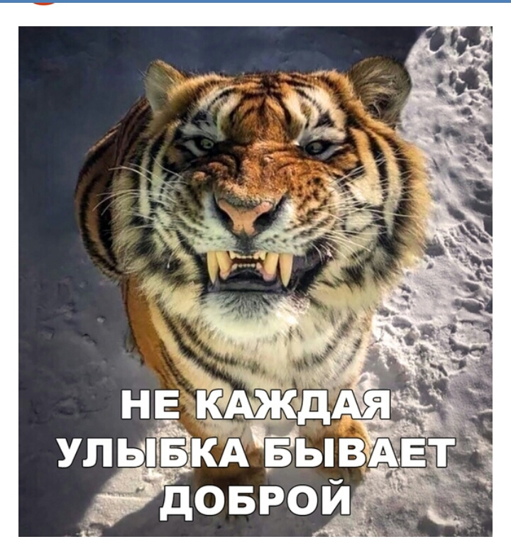 НЕЪАЁЖД УЛЬЁКА _БЫВАЕ Йоврой