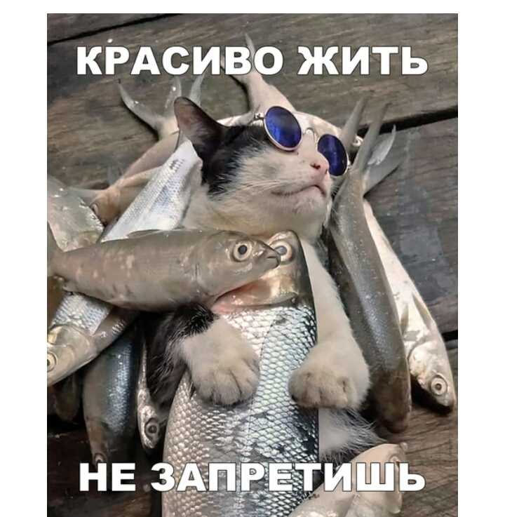 кири во жить