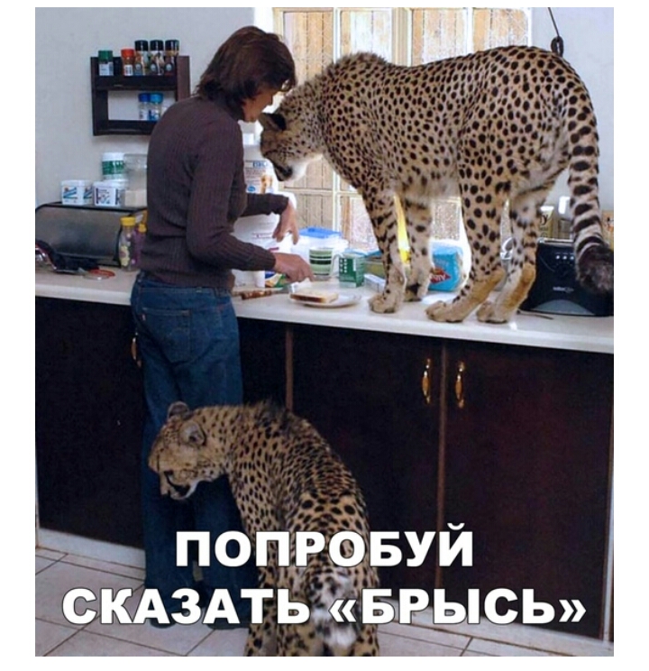 попРэівуй зАтьЁЁ БчРЫСЬ