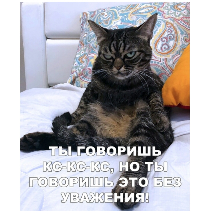 Ё Ё 37