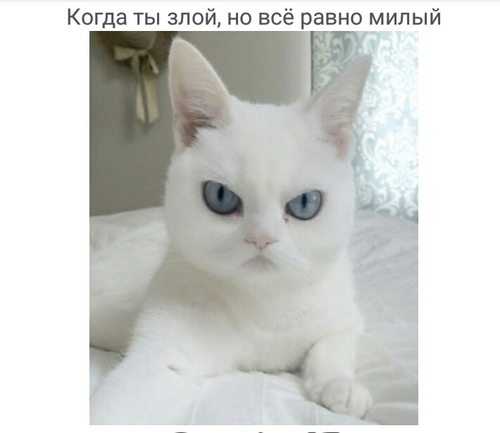 Когда ты злой но всё равно милый