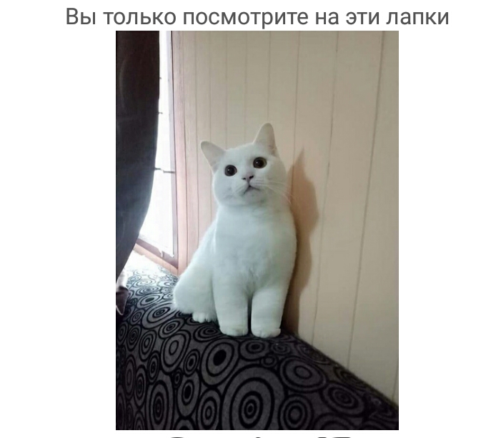 ВЫ ТОЛ ЬКО ПОСМОТРИТЕ НЭ ЭТИ ЛЭПКИ А
