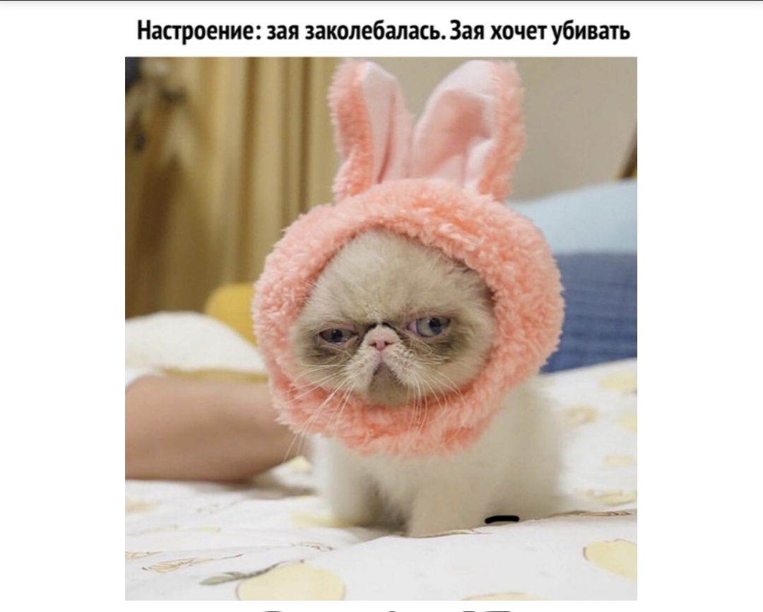 Настроение зая заколебалась3ая хочет убивать