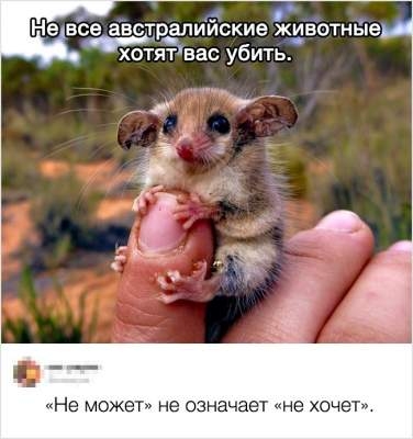 Не может не означает не хочет