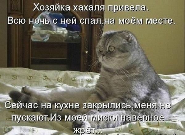 Хозяйка хахаЛЯа приму Всю нй спалчвх моём месте