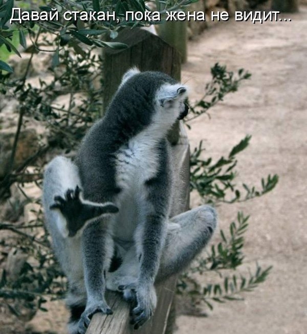ЦЁА дёвайстакан подажэёаае 2 Ё