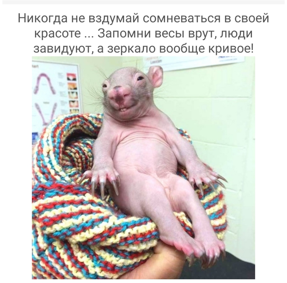Никогда не вздумай сомневаться в своей красоте Запомни весы врут люди завидуют а зеркало вообще кривое