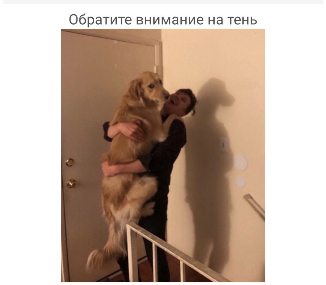 Обратите внимание на тень