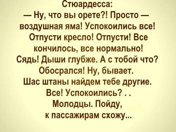 Стюардесса Ну что вы орете Просто воздушная яма Успокоились все Отпусти кресло Отпусти Все кончилось все нормально Сядь Дыши глубже А с тобой что Обосрался Ну бывает Шас штаны найдем тебе другие Все Успокоипись Молодцы Пойду к пассажирам схожу