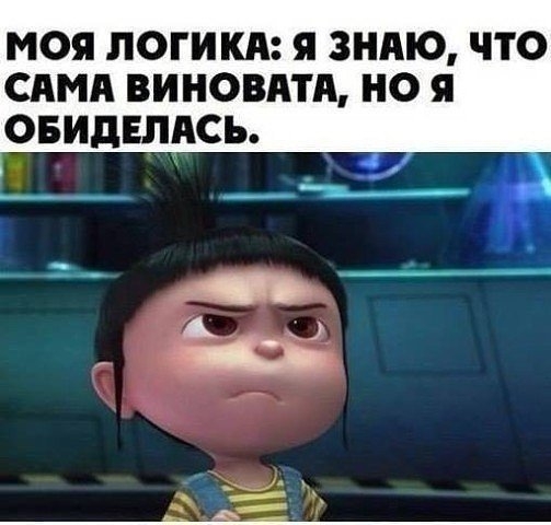 МОЯ ЛОГИКА Я ЗНАЮ ЧТО САМА ВИНОВАТА НО Я ОБИДЕЛАСЪ