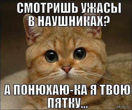 ВМВТРИШЬ УЖДВЫ В НдПШНИНдИ дь д ПВНЮХдЮ Нд Н ТВПЮ и ПНТНУ