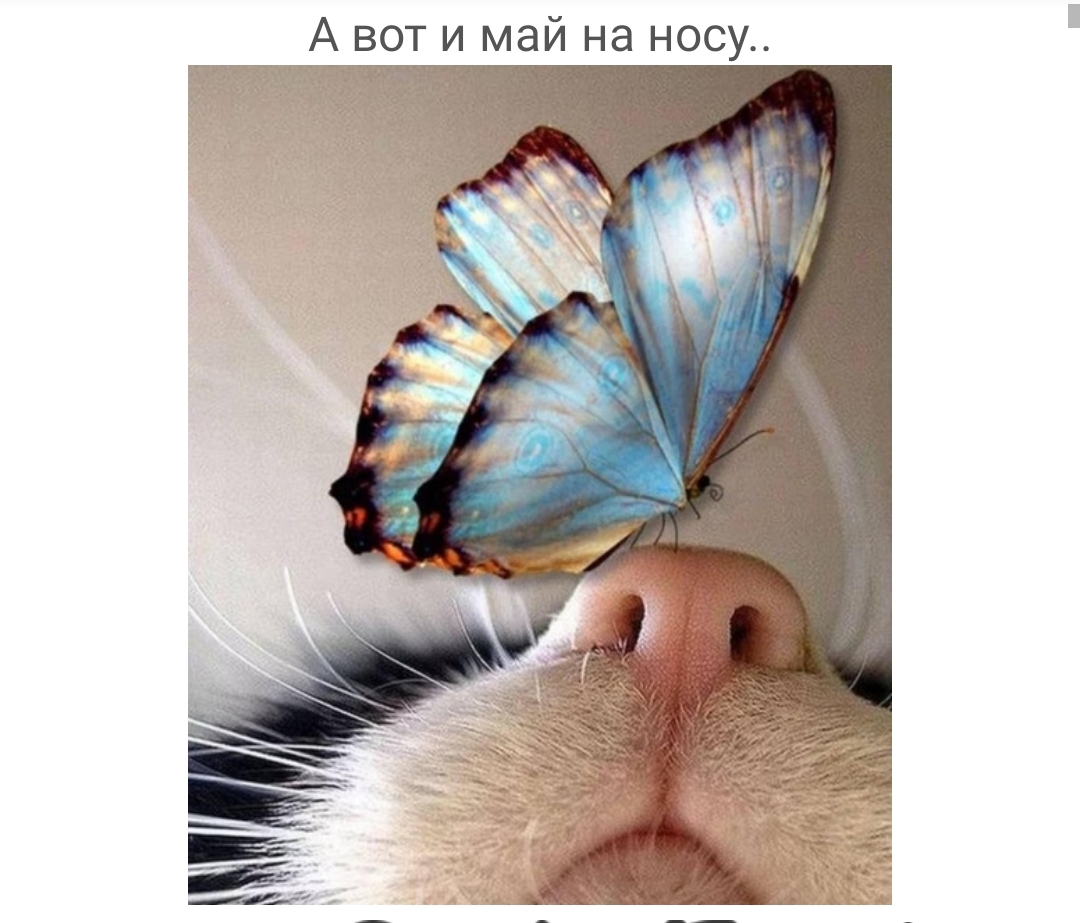 А вот и май на носу