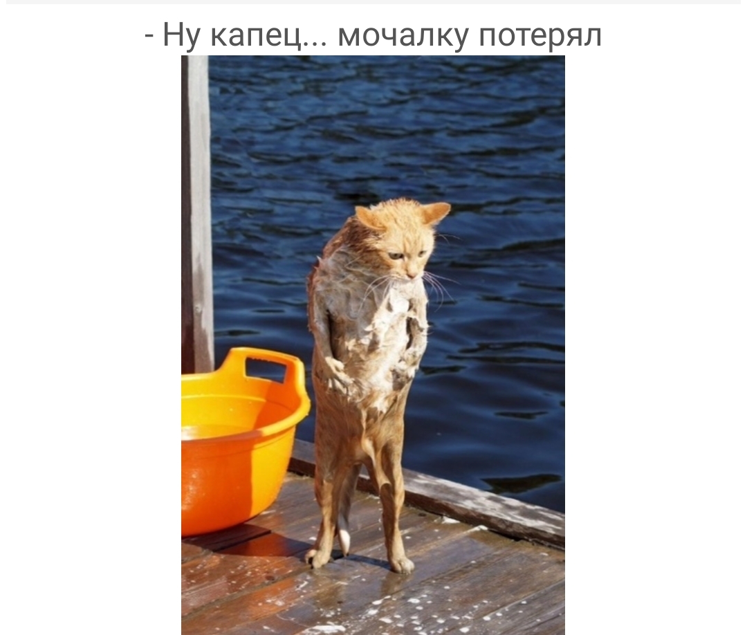 Ну капец мочалку потерял