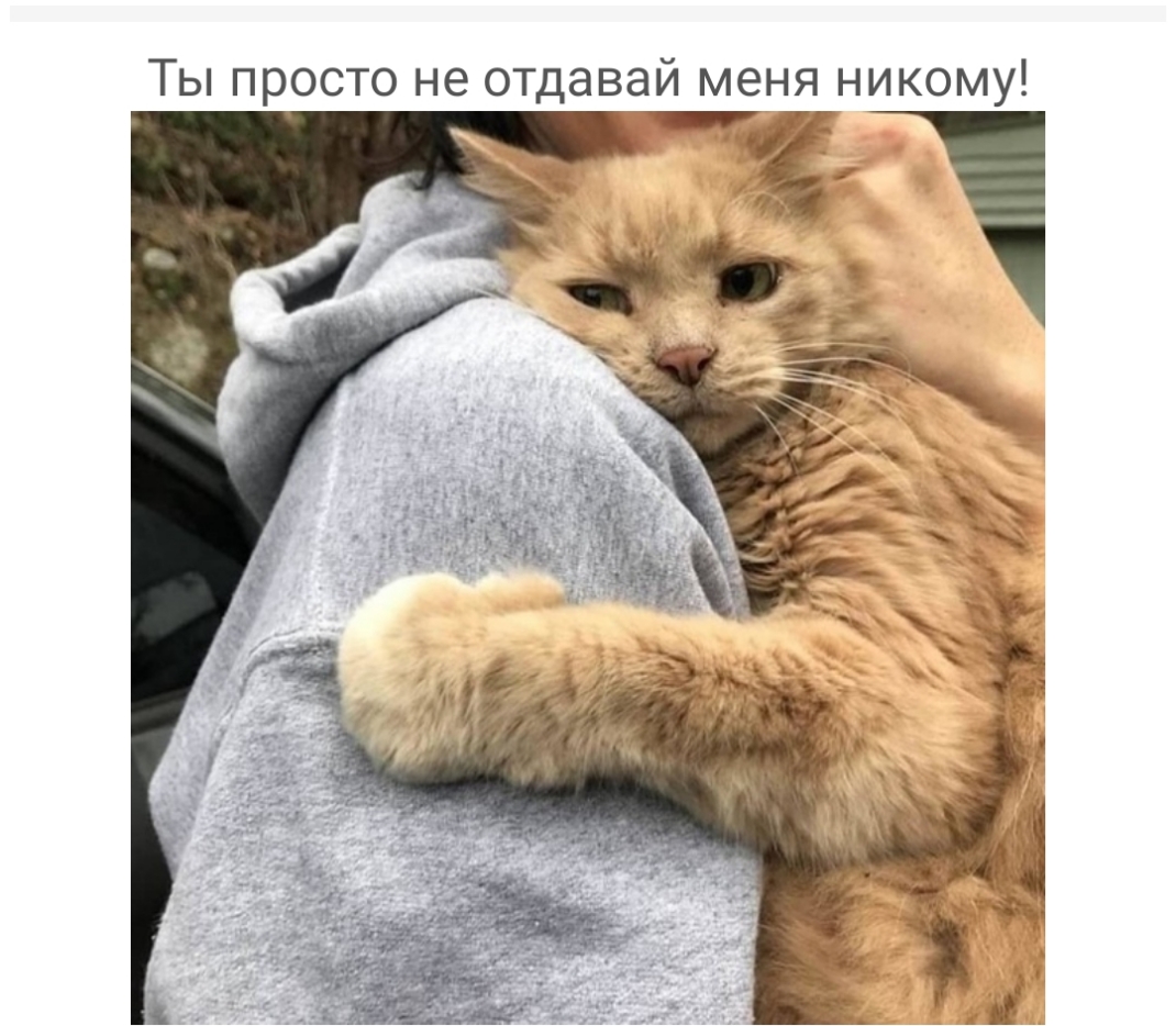 Ты просто не отдавай меня никому