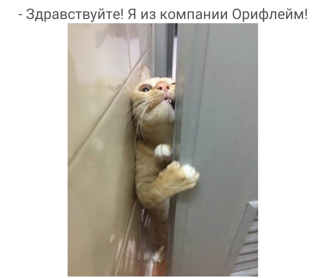 Здравствуйте Я из компании Орифлейм