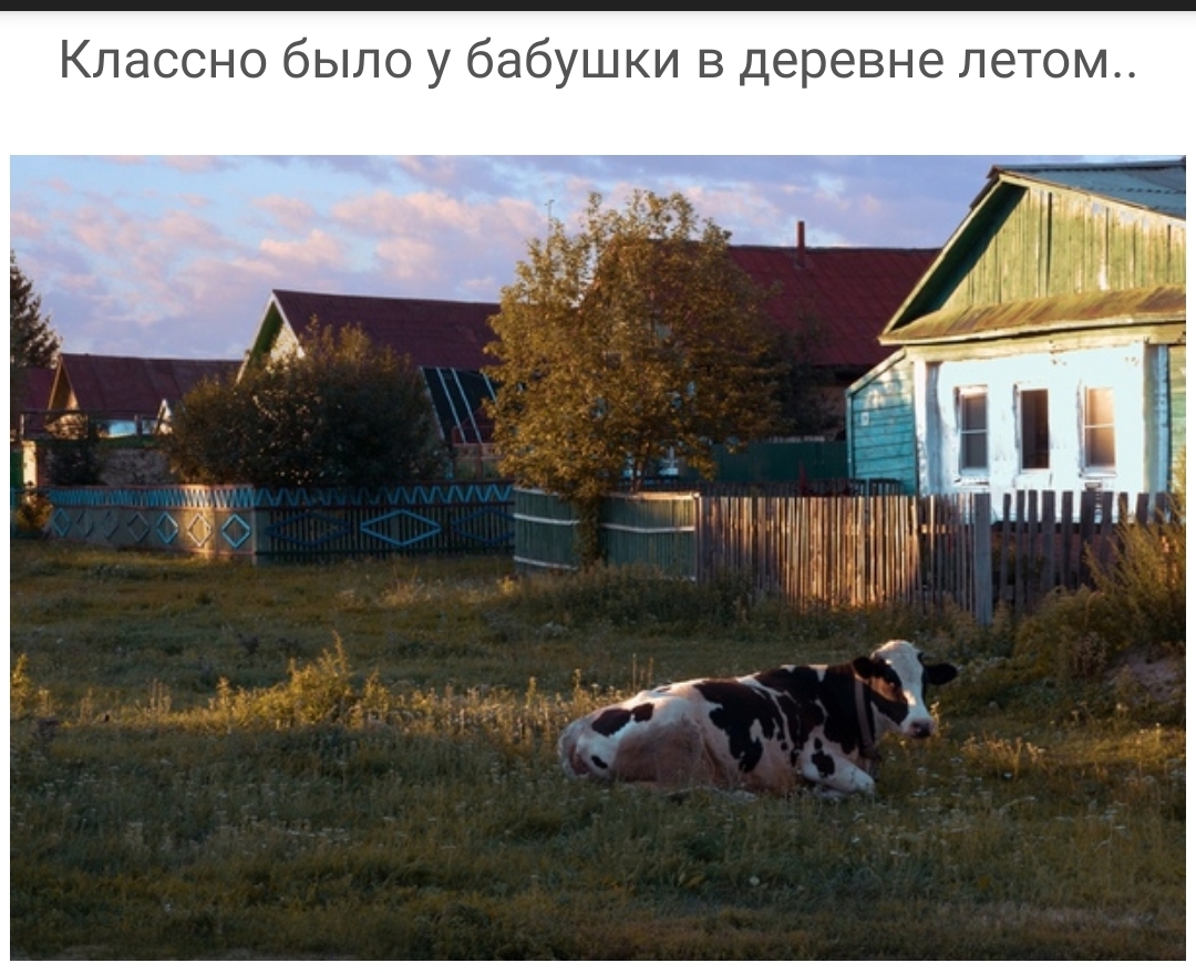 Классно было у бабушки в деревне летом