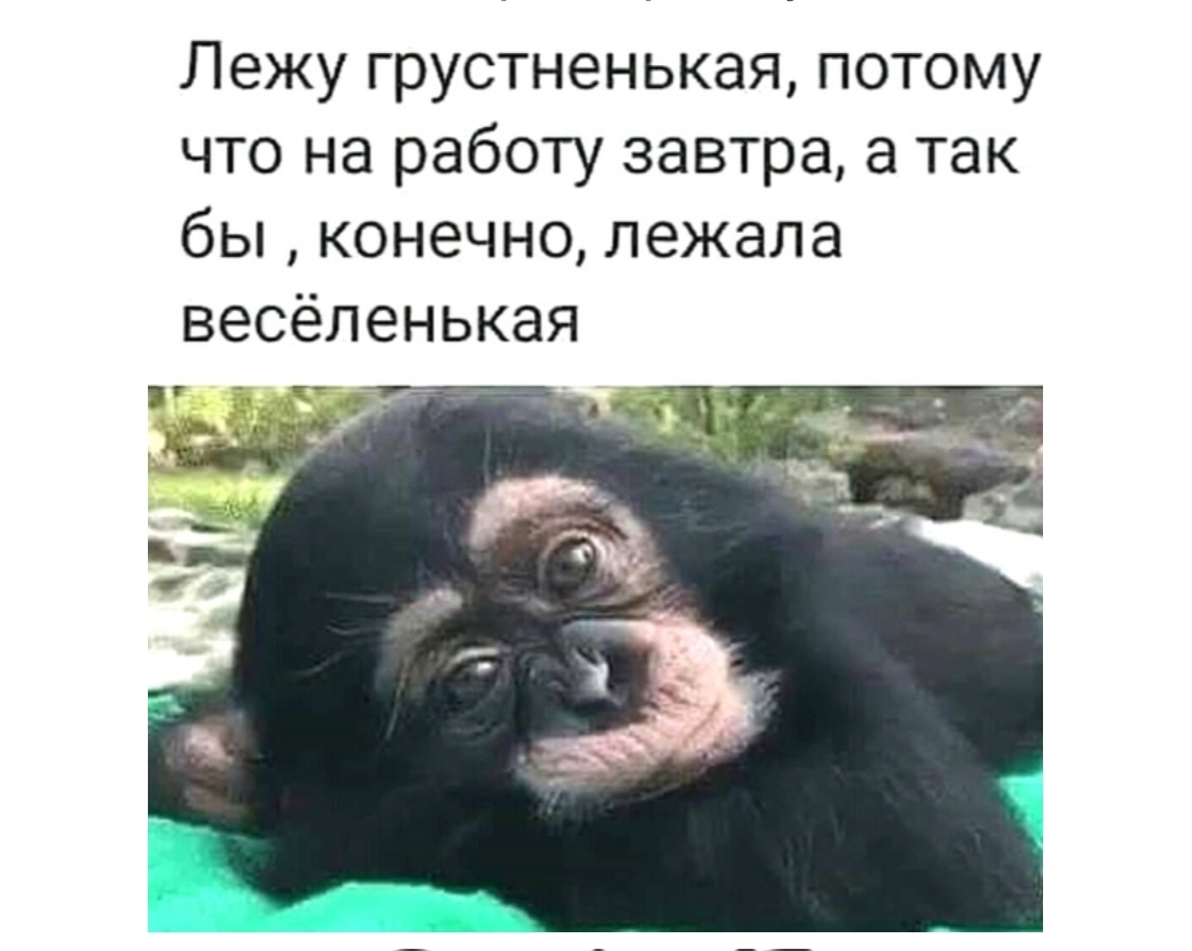 Лежу грустненькая потому что на работу завтра а так бы конечно лежала весёленькая 15197