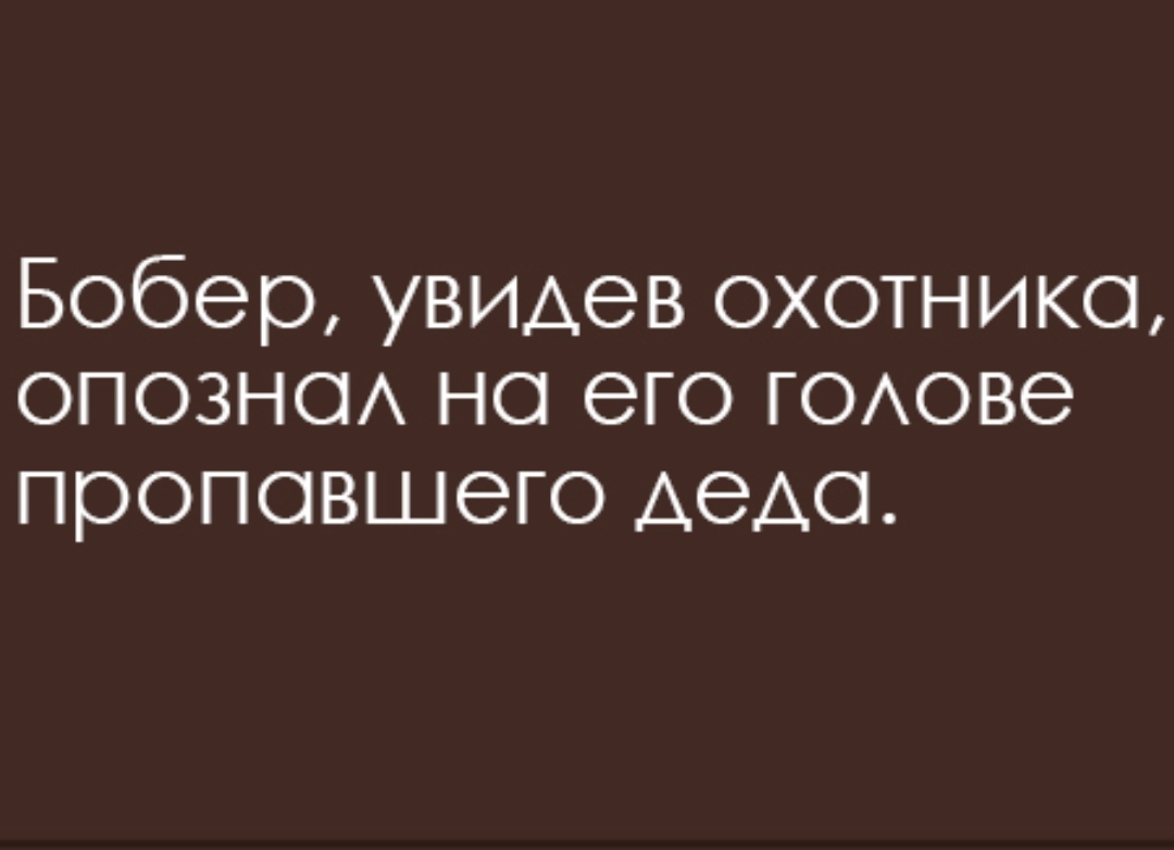 Бобер увидев охотника опознсм но его ЮАове пропавшего ДЭАС