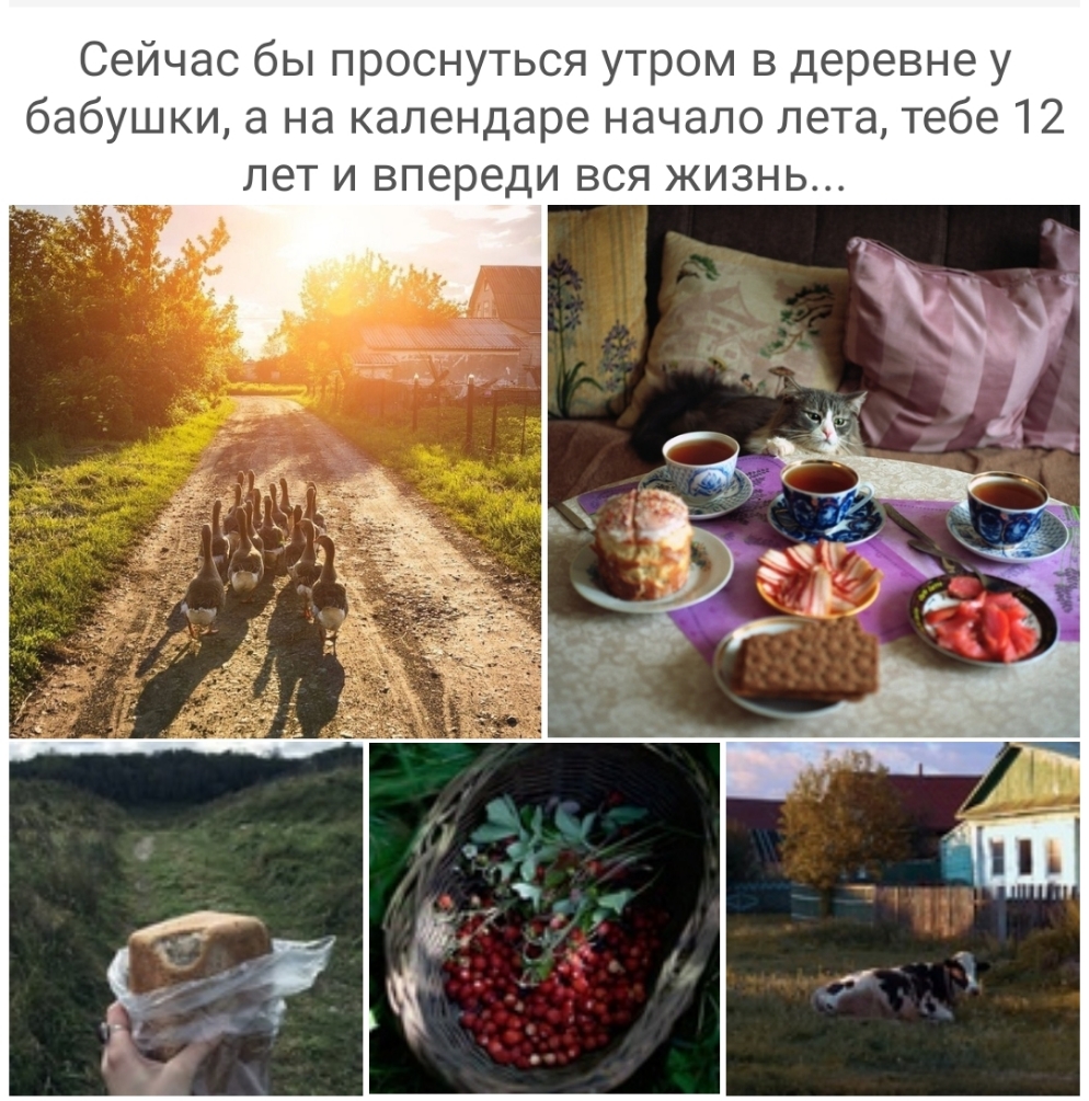 Сейчас бы проснуться утром в деревне у бабушки а на календаре начало лета тебе 12 лет и впереди вся жизнь