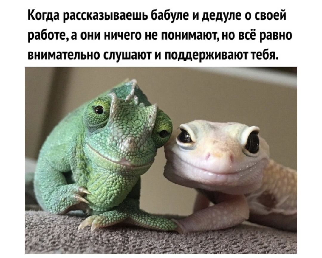 Когда рассказываешь бабуле и дедуле о своей работеа они ничего не понимают но всё равно внимательно слушают и поддерживают тебя