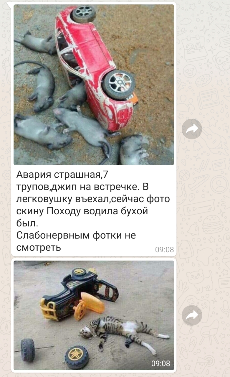 Авария страшная7 труповджип на встречке В легковушку въехалсейчас фото скину Походу водила бухой был Слабонервным фотки не смотреть 09308