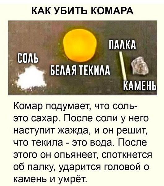 КАК УБИТЬ КОМАРА ПААКА _ СПАЬ БЕААЯТЕКИАА ЧЁ _ кдмгнь Комар подумает что соль это сахар После соли у него наступит жажда и он решит что текила это вода После этого он опьянеет споткнется об палку ударится головой о камень и умрёт