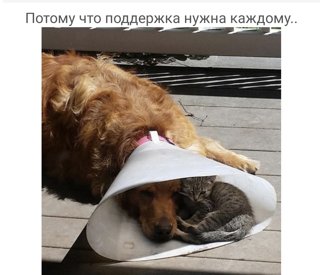 Потому что поддержка нужна каждому